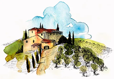 Olive Oil Extraction Process